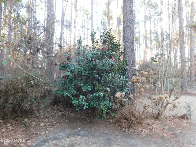 $205,000 | 12581 Barnes Bridge Road, Laurinburg, NC 28352