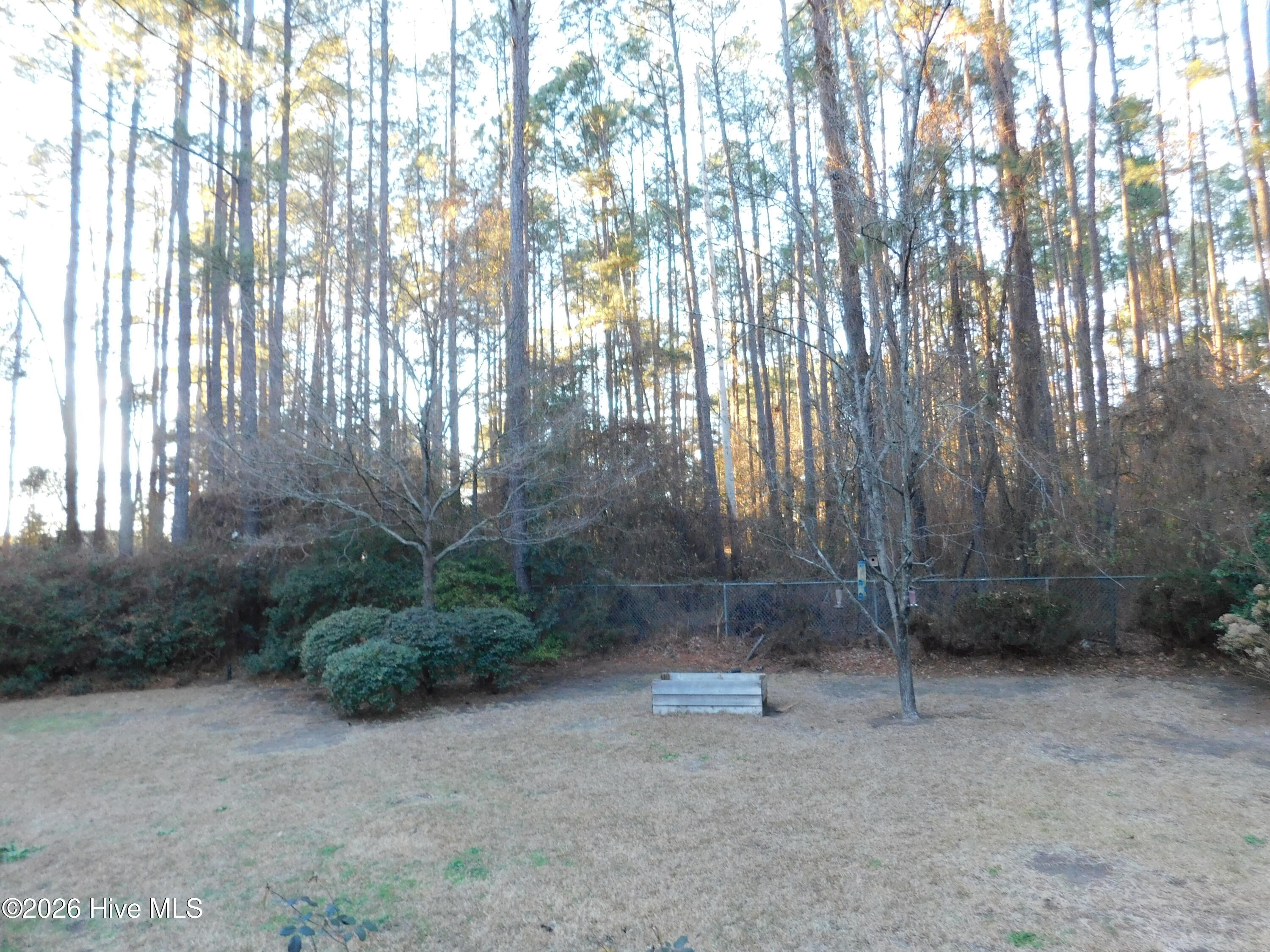 12581 Barnes Bridge Road Laurinburg, NC 28352 - Photo 51 of 52 Back yard