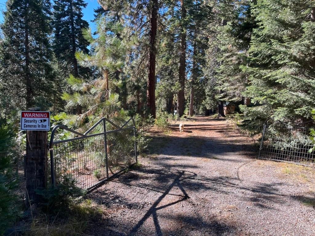 3-e-43 Red Fir Road McCloud, CA 96057 - Photo 1 of 11 Gallery Image 1