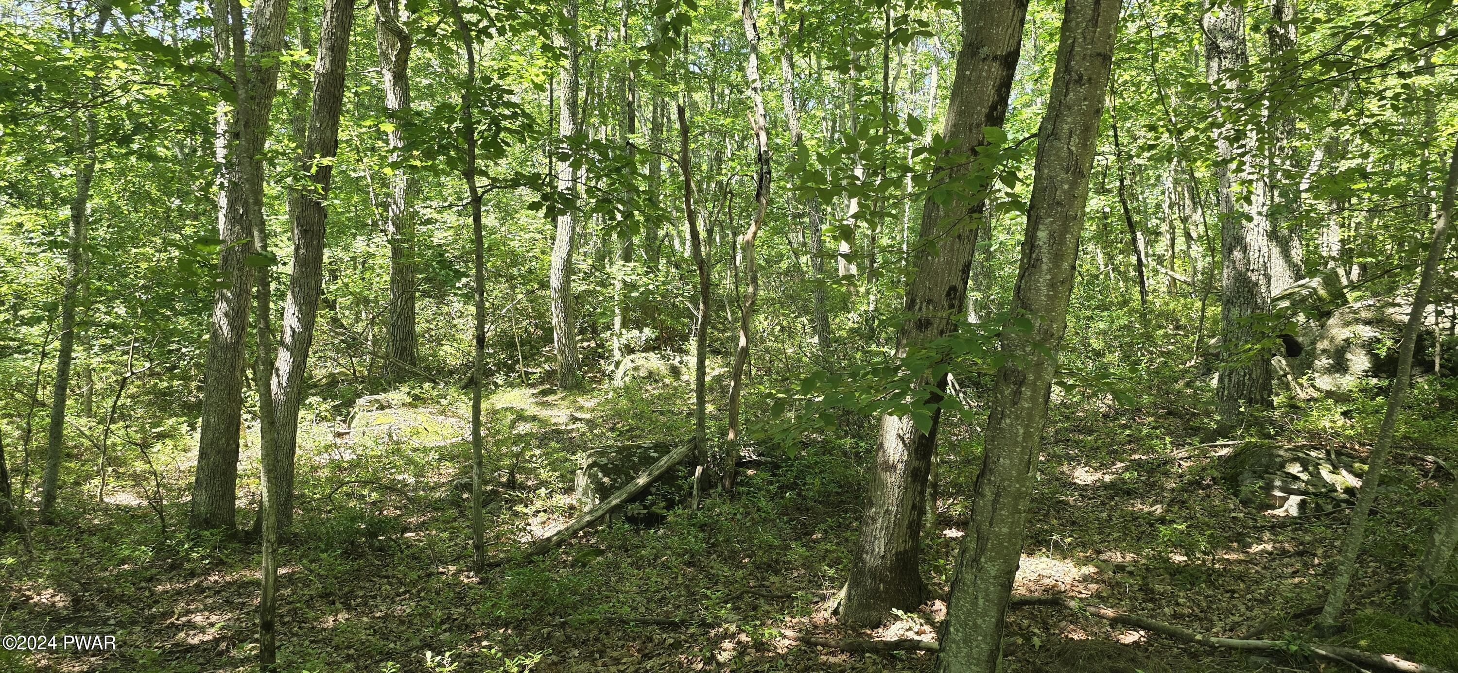 Cayuga Trail Milford, PA 18337 - Photo 14 of 20
