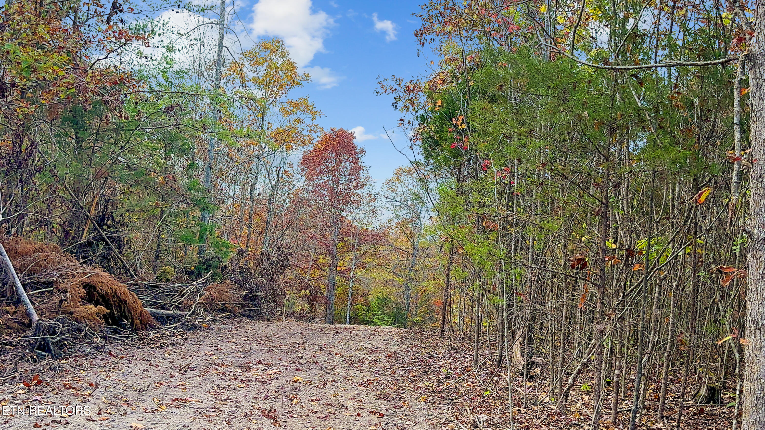 598 Myers Road Kingston, TN 37763 - Photo 2 of 6 IMG_1037