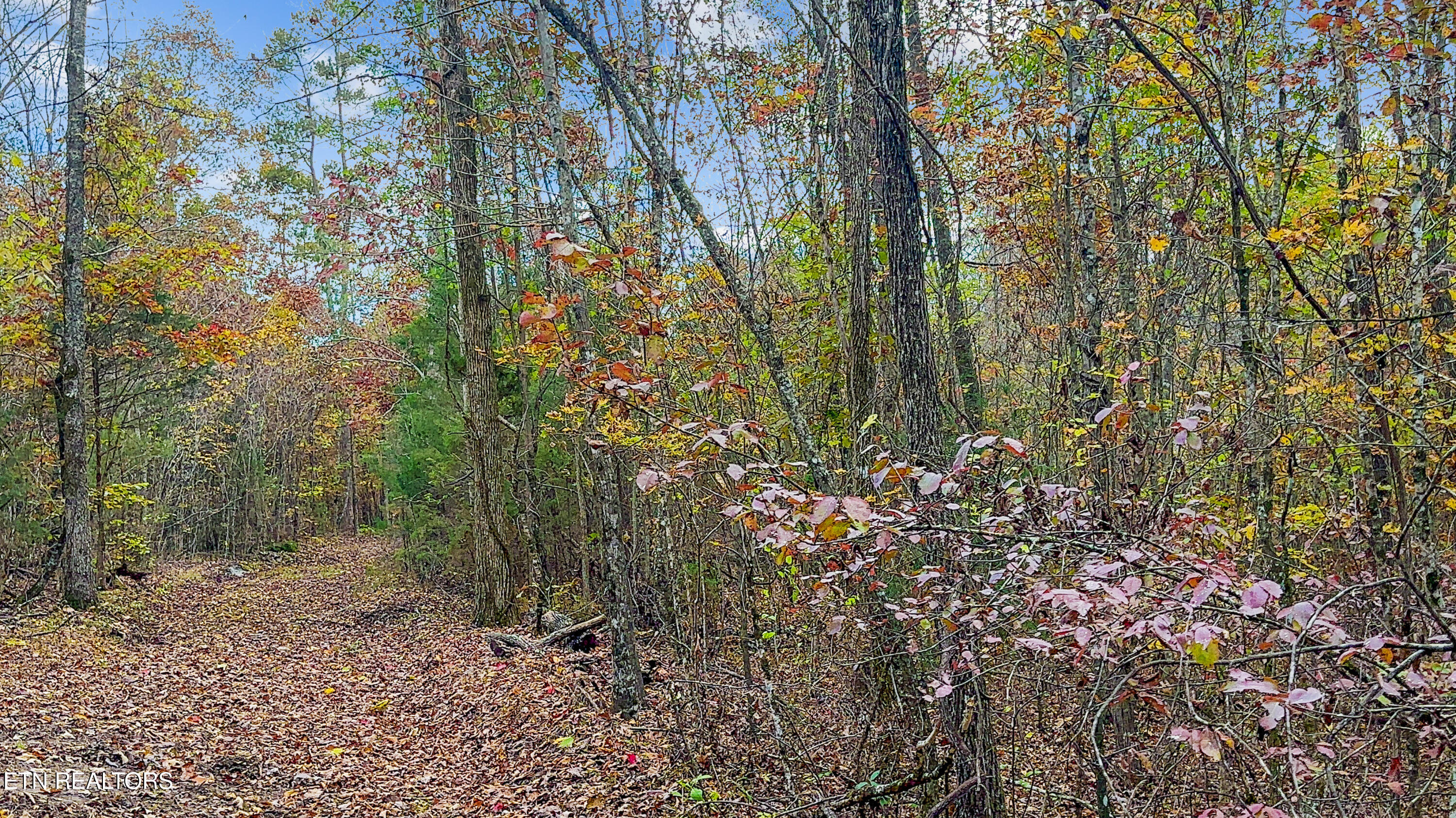 598 Myers Road Kingston, TN 37763 - Photo 4 of 6 IMG_1017