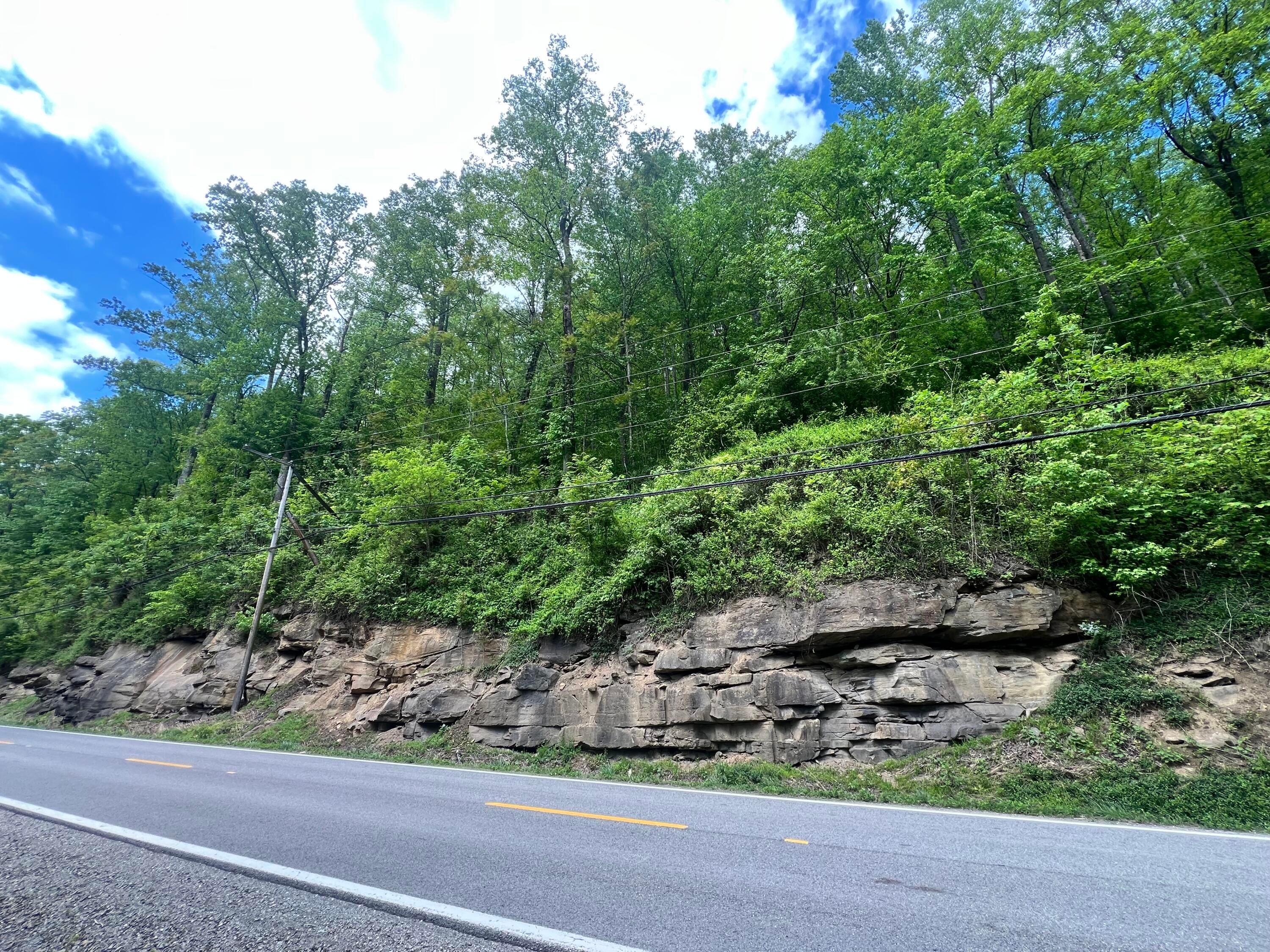 Gauley River Road Belva, WV 26656 - Photo 8 of 12 Gallery Image 8