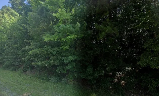 a view of city and green space