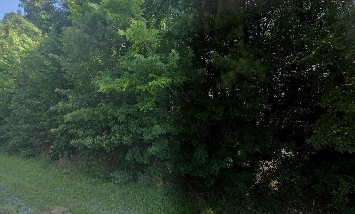 0 1st Street West Dickson, TN 37055 - Photo 2 of 2 a view of city and green space