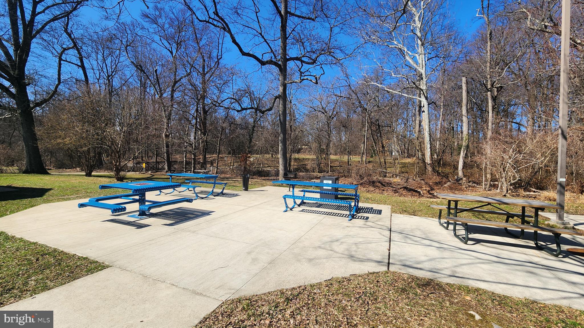 1002 Laredo Road Silver Spring, MD 20901 - Photo 38 of 70 a view of a park with bench and trees