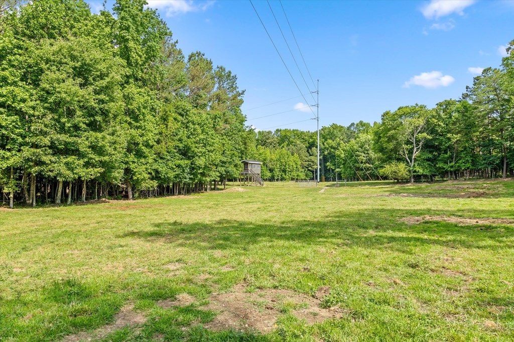 482 Glenn Howard Road Chatsworth, GA 30705 - Photo 46 of 55