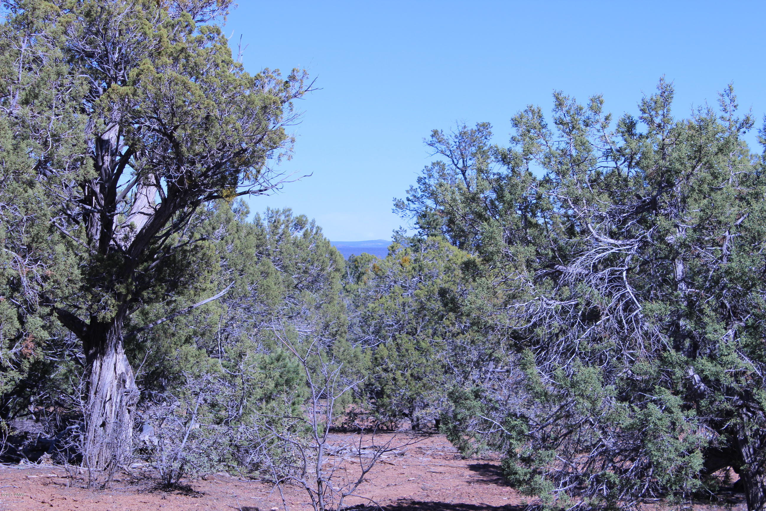Lot 25 Wilson Road Show Low, AZ 85901 - Photo 1 of 12