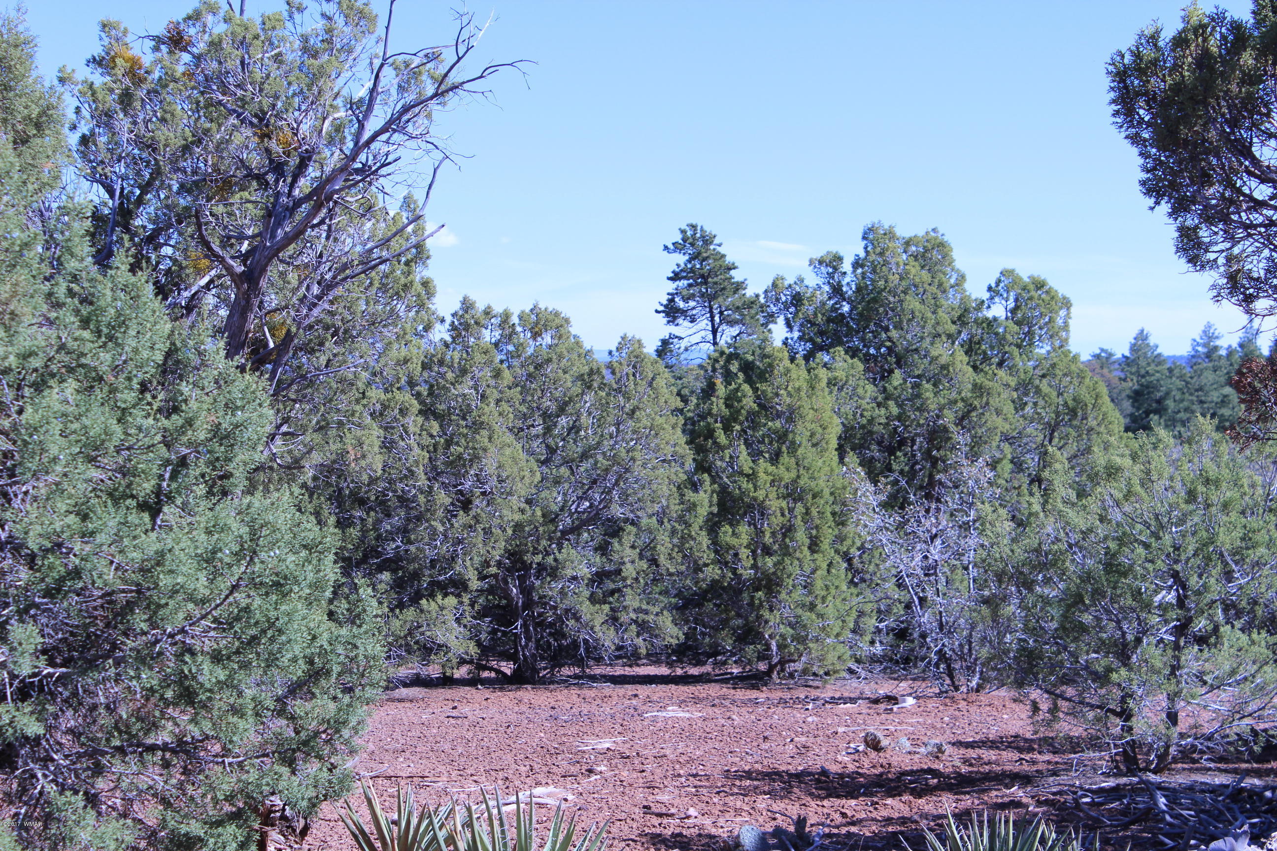 Lot 25 Wilson Road Show Low, AZ 85901 - Photo 2 of 12
