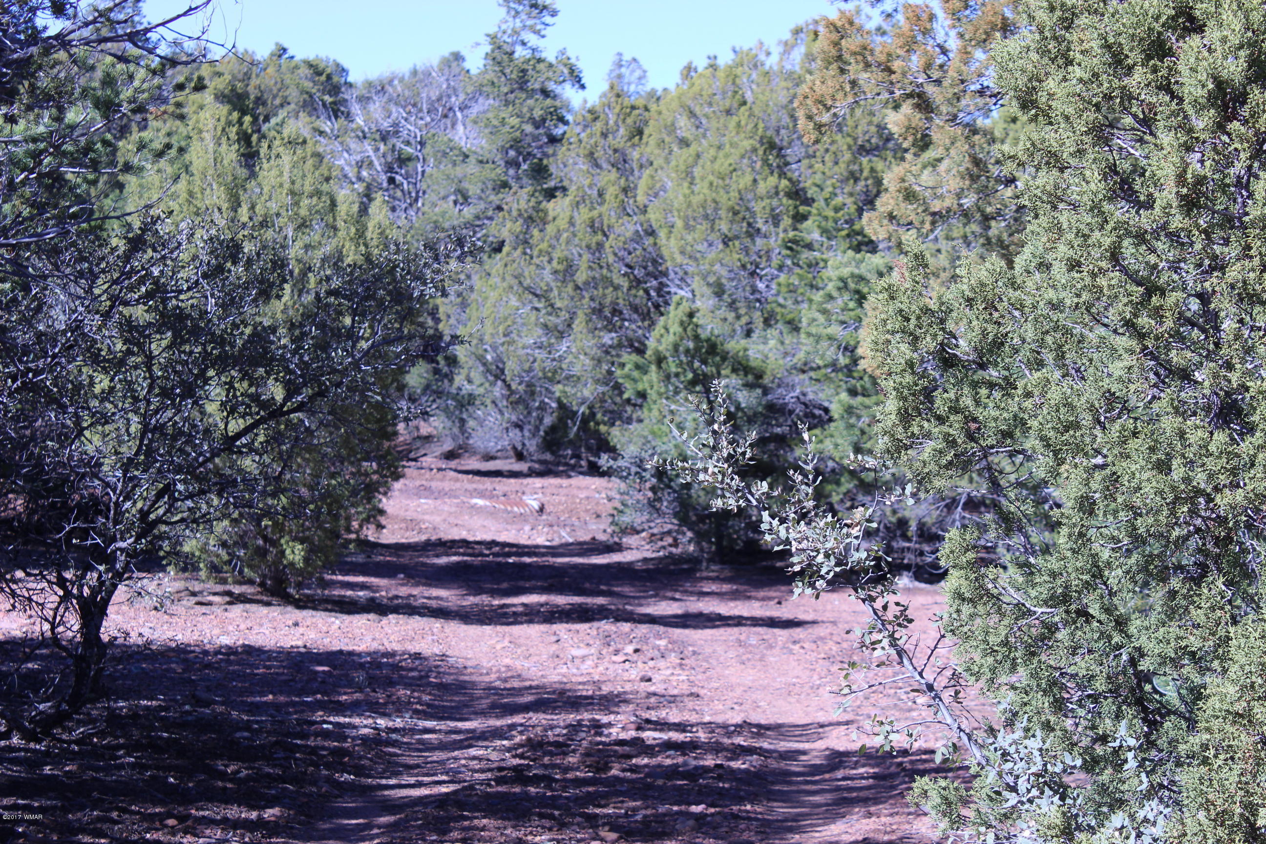 Lot 25 Wilson Road Show Low, AZ 85901 - Photo 4 of 12