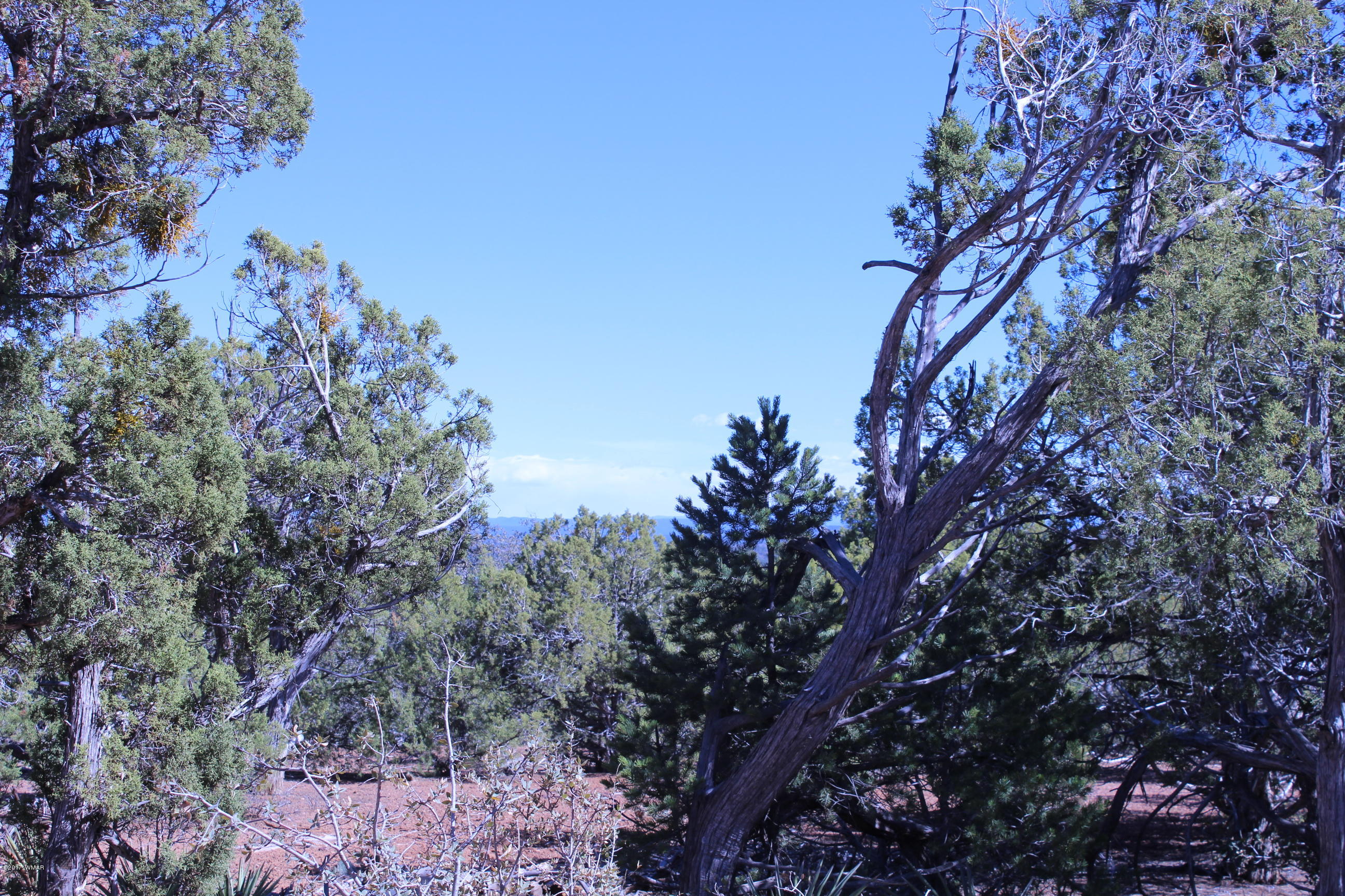 Lot 25 Wilson Road Show Low, AZ 85901 - Photo 7 of 12