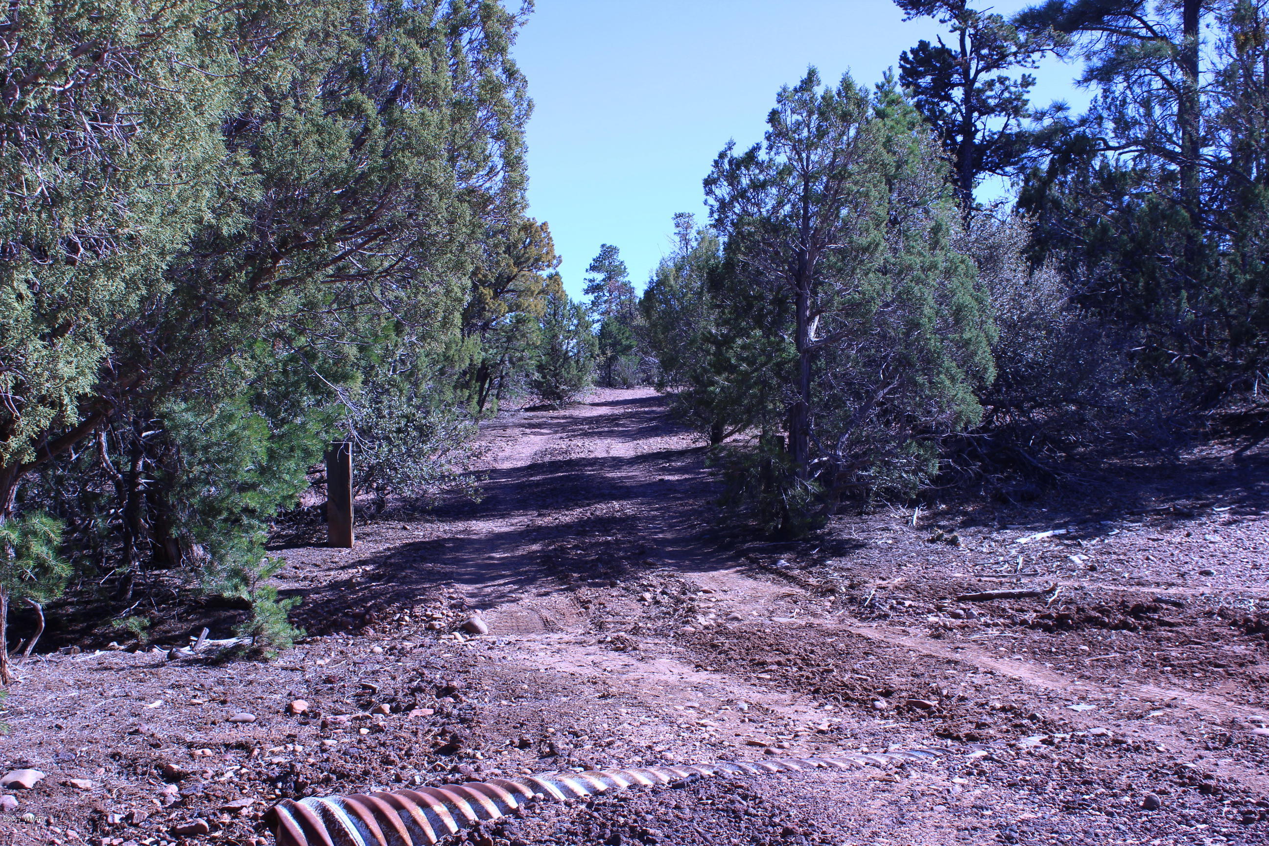 Lot 25 Wilson Road Show Low, AZ 85901 - Photo 8 of 12