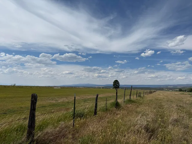 a view of an ocean and beach