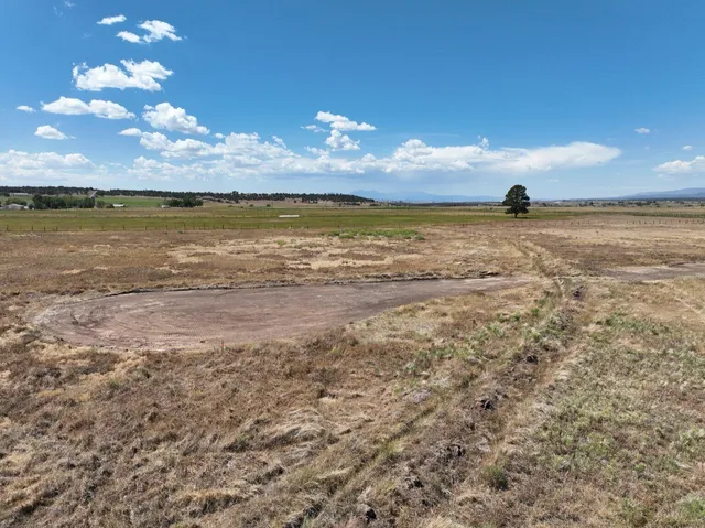 a view of a yard with outdoor space