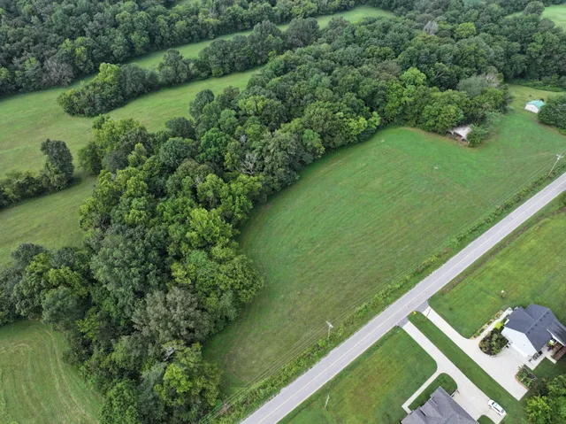 a view of a green yard with a lake
