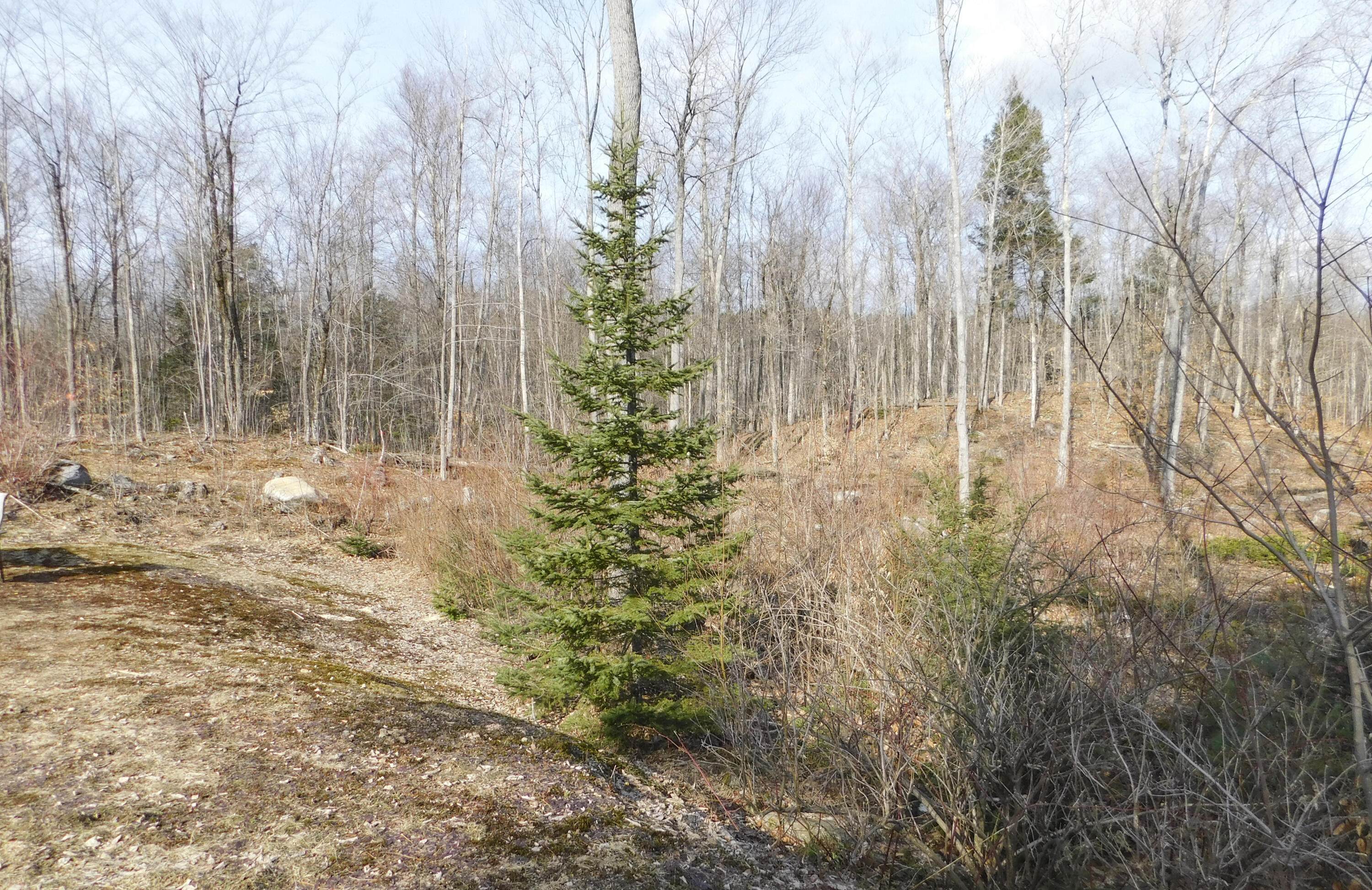 15 Parkman Road Wellington, ME 04942 - Photo 55 of 56 22