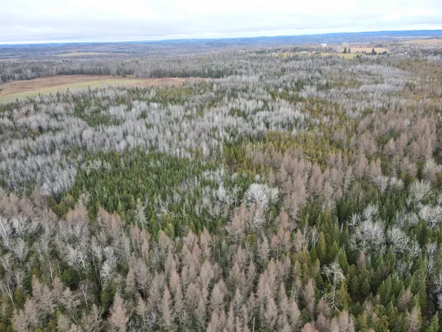 $199,900 | 481 Plante Road, Caribou, ME 04736