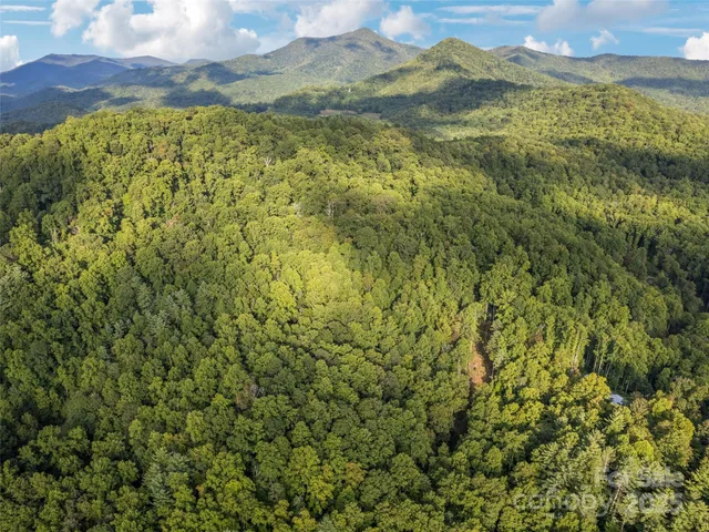 a view of a field with a mountain in the background