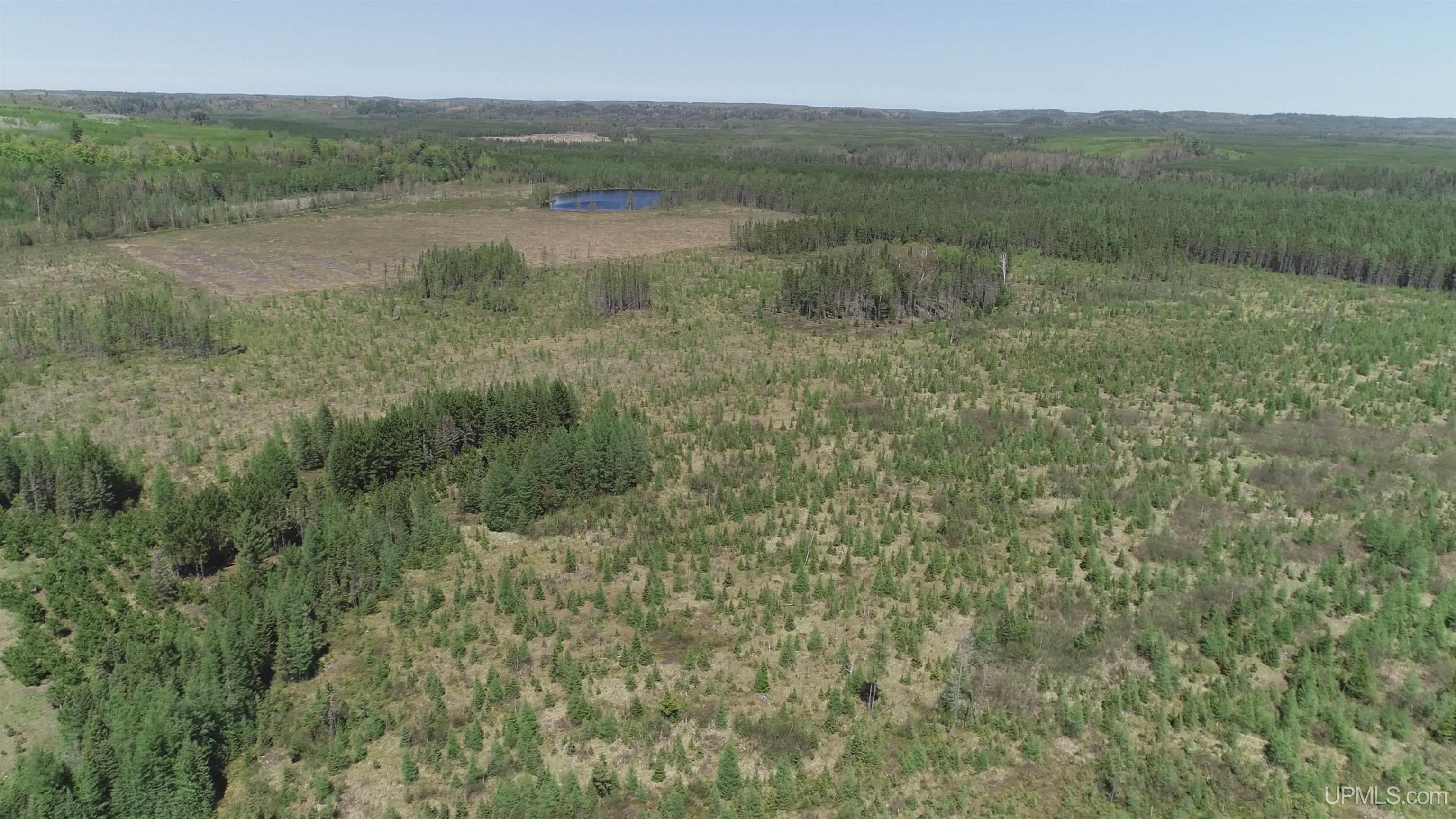 58-acres Co Rd Fn Road Champion, MI 49814 - Photo 9 of 27