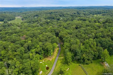 a view of a lush green forest with trees and some houses