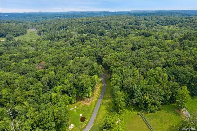 a view of a lush green forest with trees and some houses