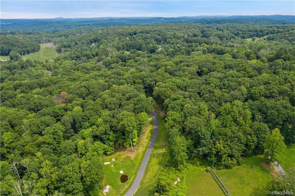 578 Cross River Road Katonah, NY 10536 - Photo 3 of 8 a view of a lush green forest with trees and some houses