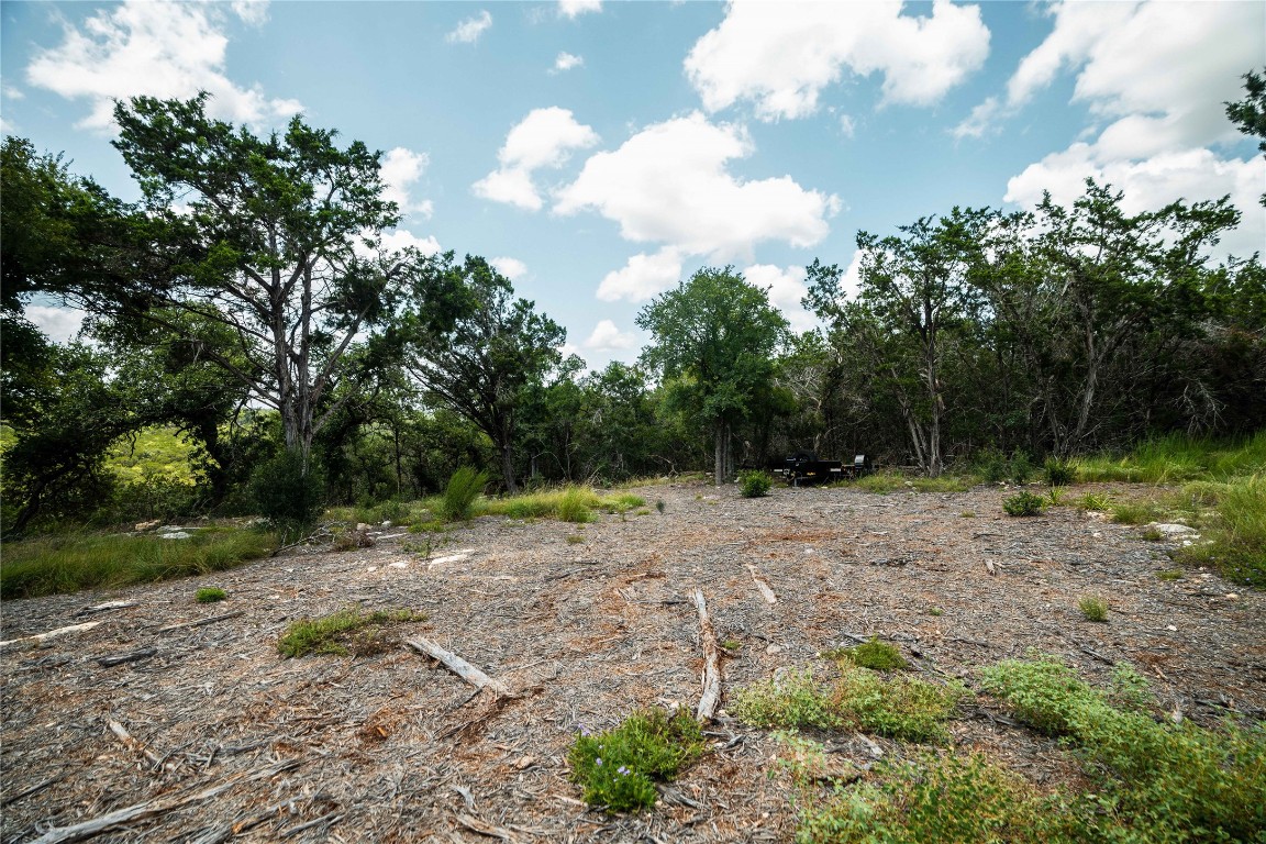 3237 Wimberley Tx 78676 Wimberley, TX 78676 - Photo 11 of 31 a view of a yard with a tree
