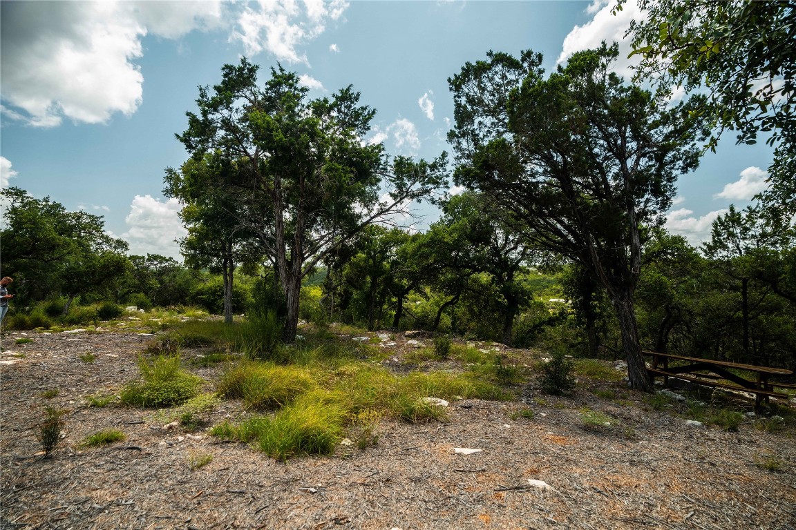 3237 Wimberley Tx 78676 Wimberley, TX 78676 - Photo 12 of 31 a big yard with lots of green space
