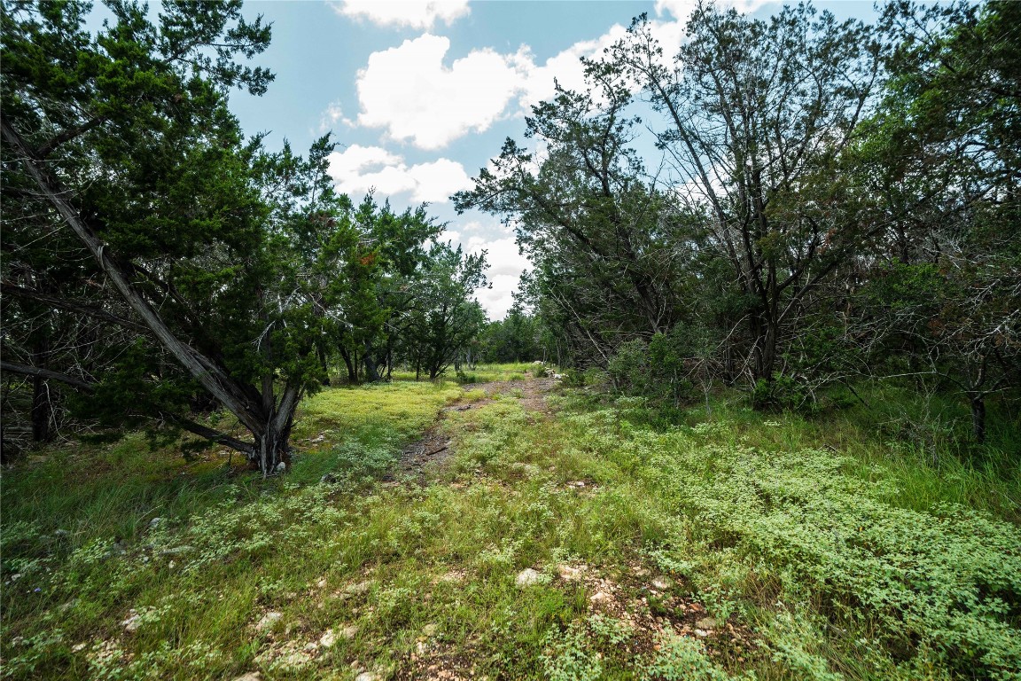 3237 Wimberley Tx 78676 Wimberley, TX 78676 - Photo 16 of 31 a view of outdoor space and yard