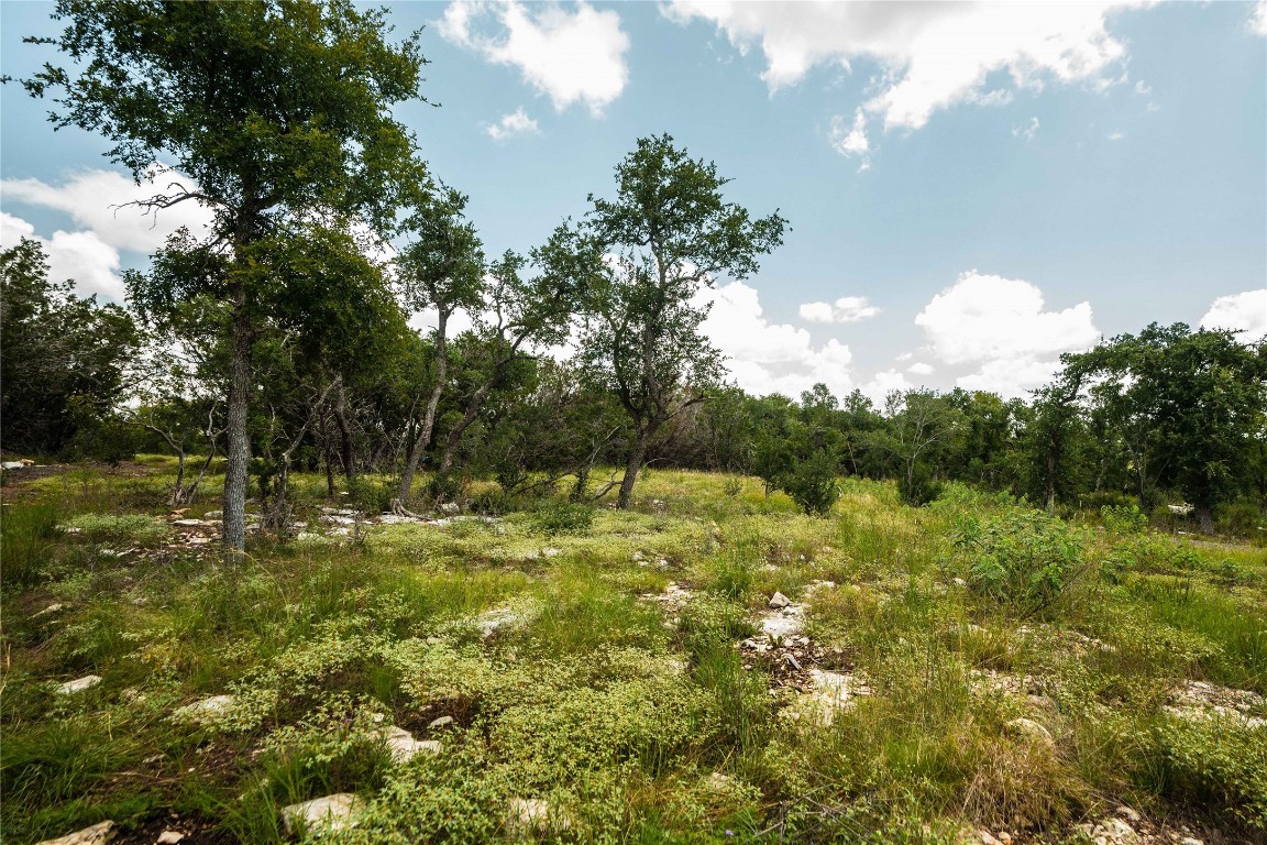 3237 Wimberley Tx 78676 Wimberley, TX 78676 - Photo 17 of 31 a view of a big yard with lots of green space