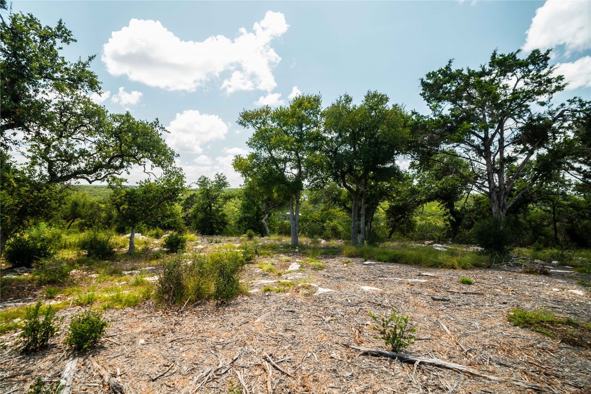 3237 Wimberley Tx 78676 Wimberley, TX 78676 - Photo 19 of 31 a view of backyard with green space