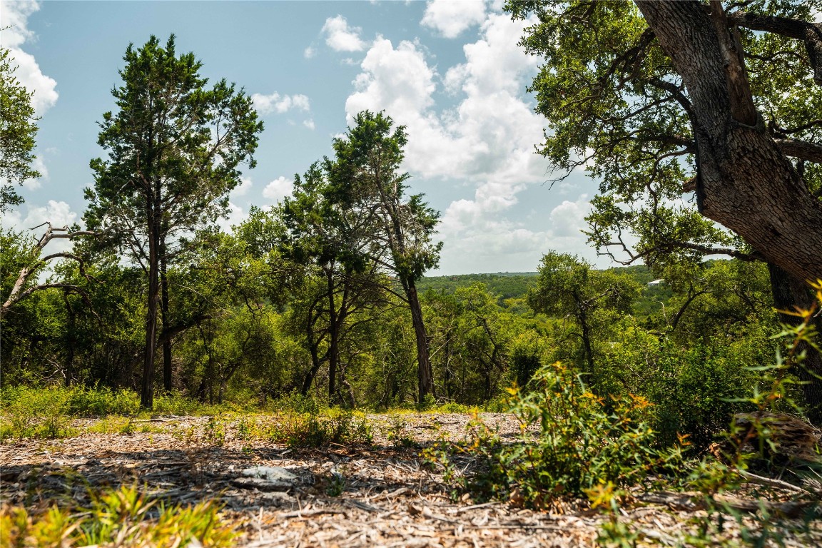 3237 Wimberley Tx 78676 Wimberley, TX 78676 - Photo 23 of 31 a view of a yard with large trees