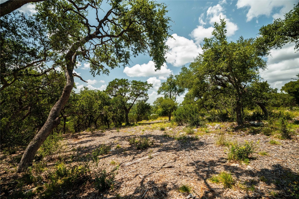 3237 Wimberley Tx 78676 Wimberley, TX 78676 - Photo 24 of 31 a view of outdoor space with trees all around