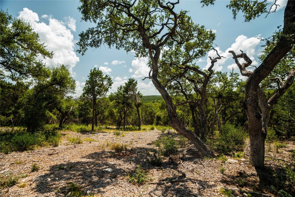 3237 Wimberley Tx 78676 Wimberley, TX 78676 - Photo 25 of 31 a view of outdoor space with trees