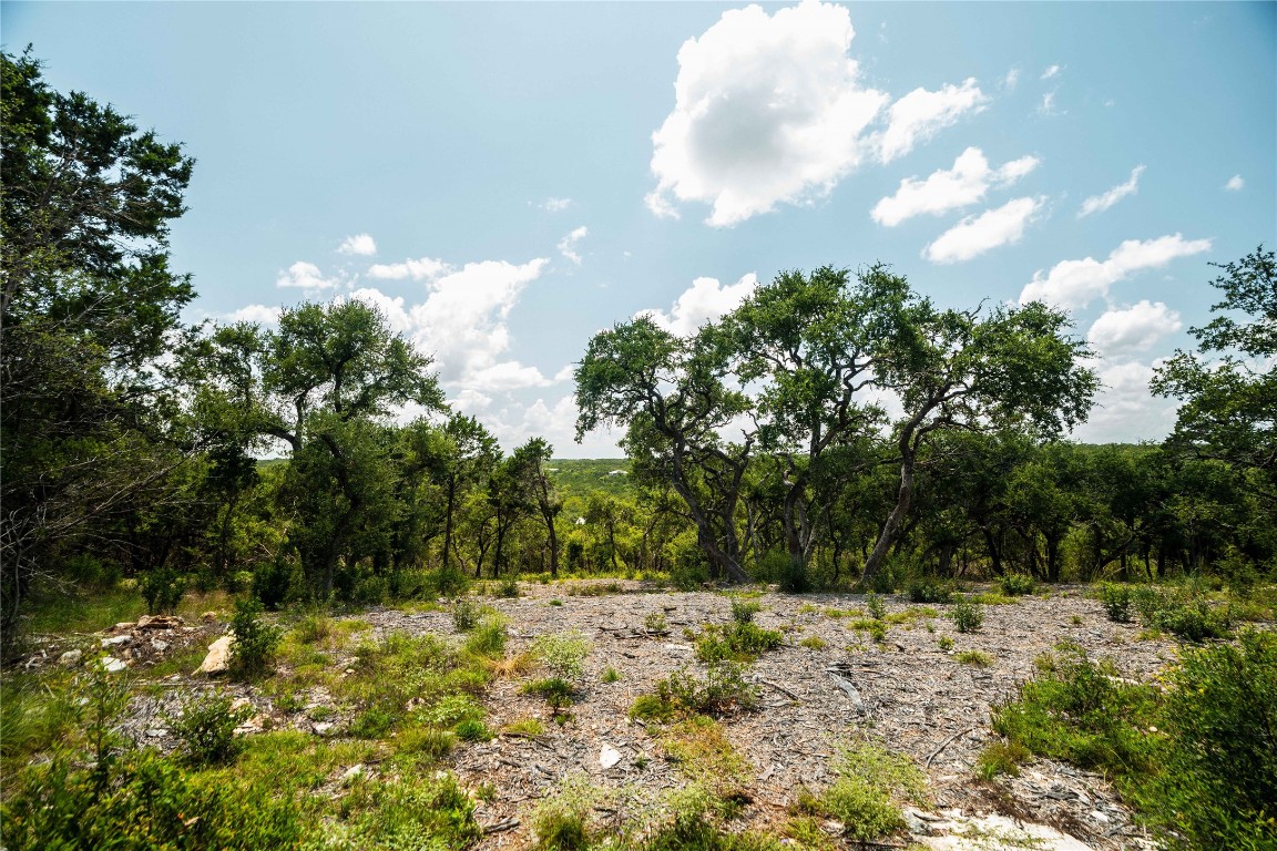 3237 Wimberley Tx 78676 Wimberley, TX 78676 - Photo 27 of 31 a view of a yard with trees