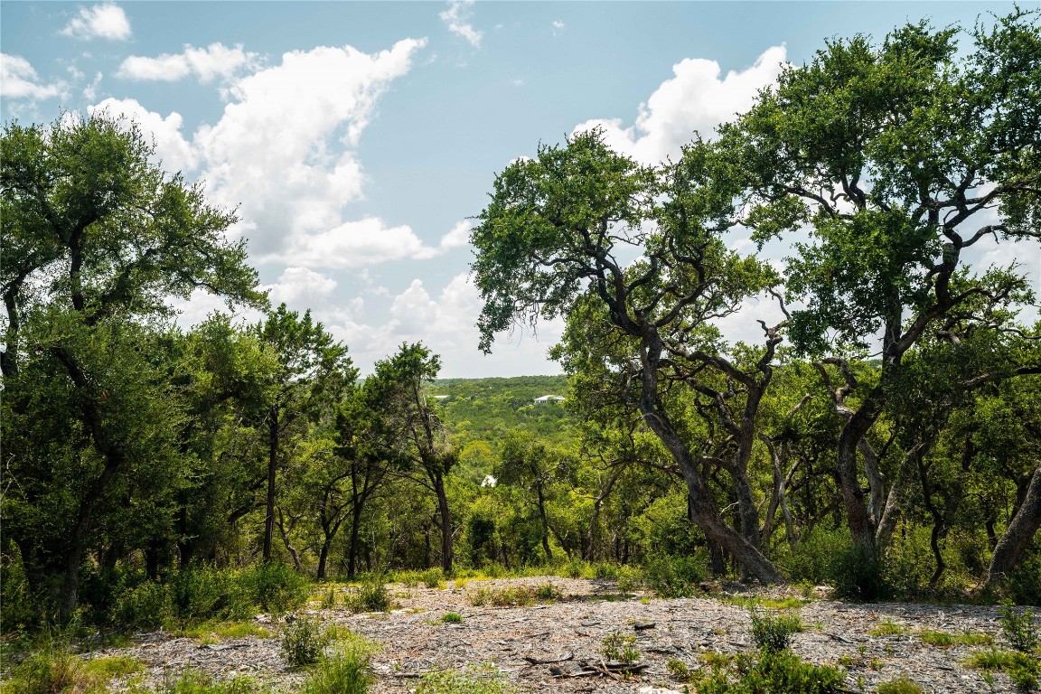 3237 Wimberley Tx 78676 Wimberley, TX 78676 - Photo 28 of 31 a view of a yard with trees