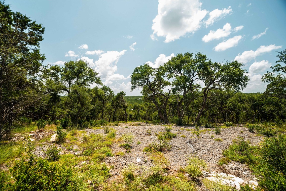 3237 Wimberley Tx 78676 Wimberley, TX 78676 - Photo 29 of 31 a view of yard
