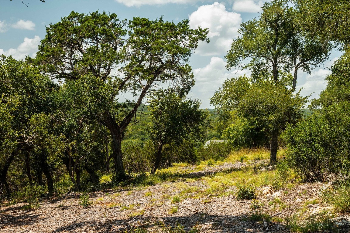 3237 Wimberley Tx 78676 Wimberley, TX 78676 - Photo 30 of 31 a view of a yard