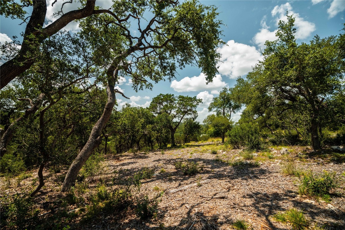 3237 Wimberley Tx 78676 Wimberley, TX 78676 - Photo 31 of 31 a view of outdoor space with trees all around