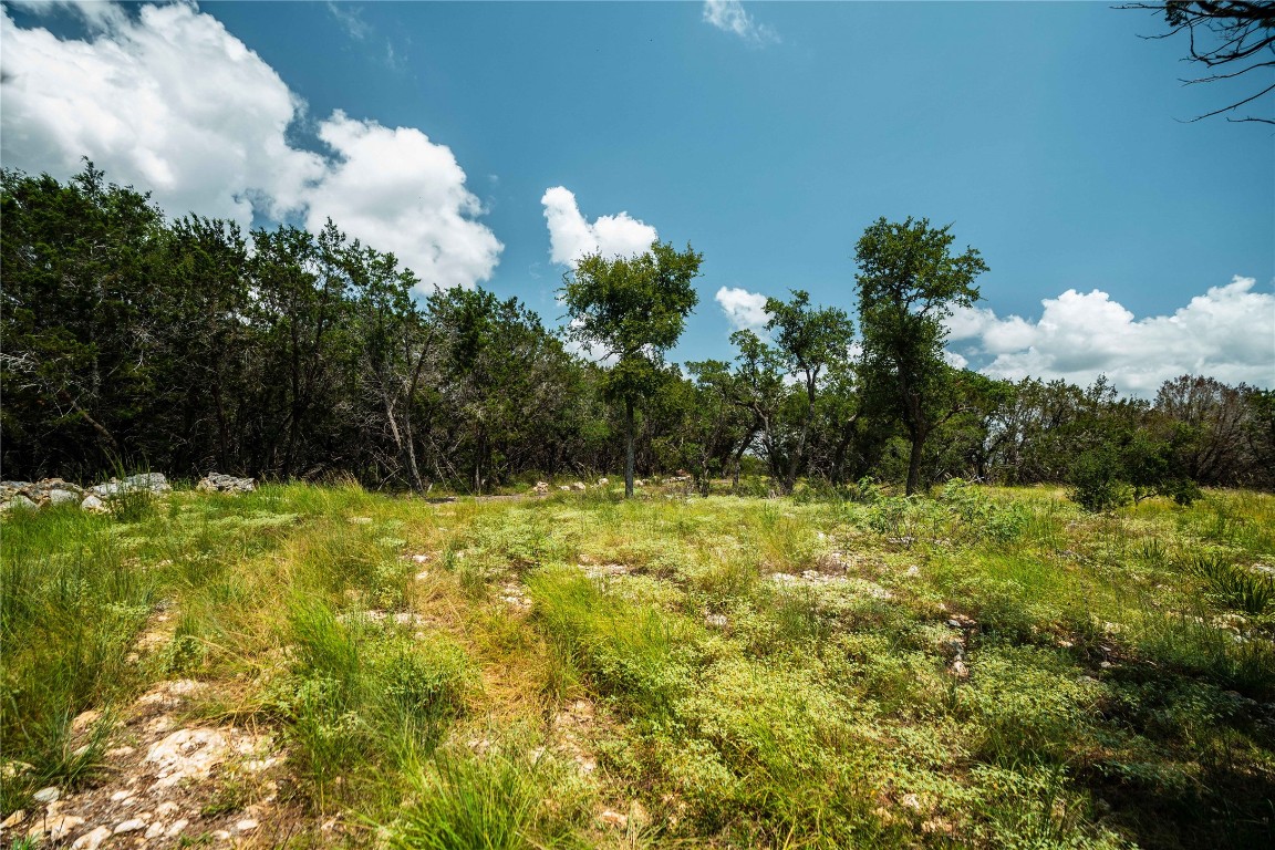 3237 Wimberley Tx 78676 Wimberley, TX 78676 - Photo 7 of 31 a view of a yard