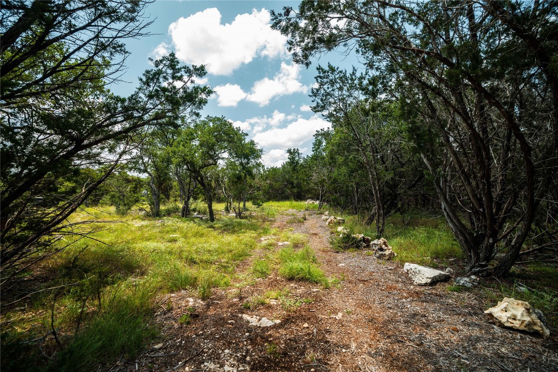 3237 Wimberley Tx 78676 Wimberley, TX 78676 - Photo 10 of 31 a view of a yard with a tree