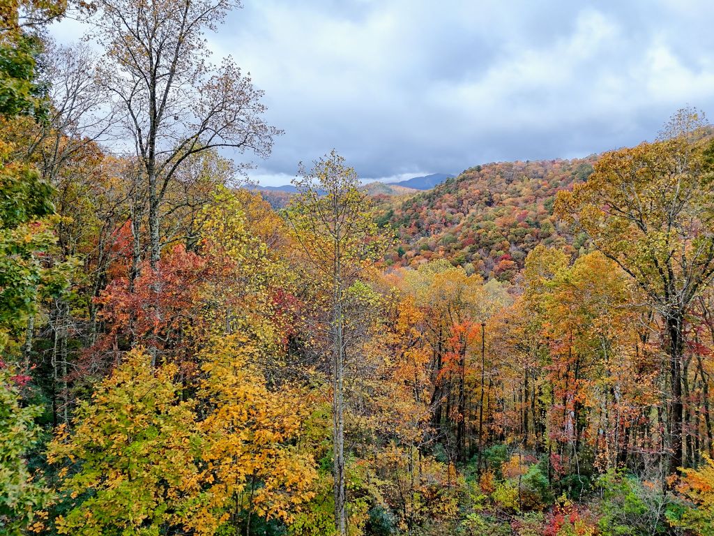 78 Natural Bridge Road Scaly Mountain, NC 28775 - Photo 3 of 51 Gallery Image 3