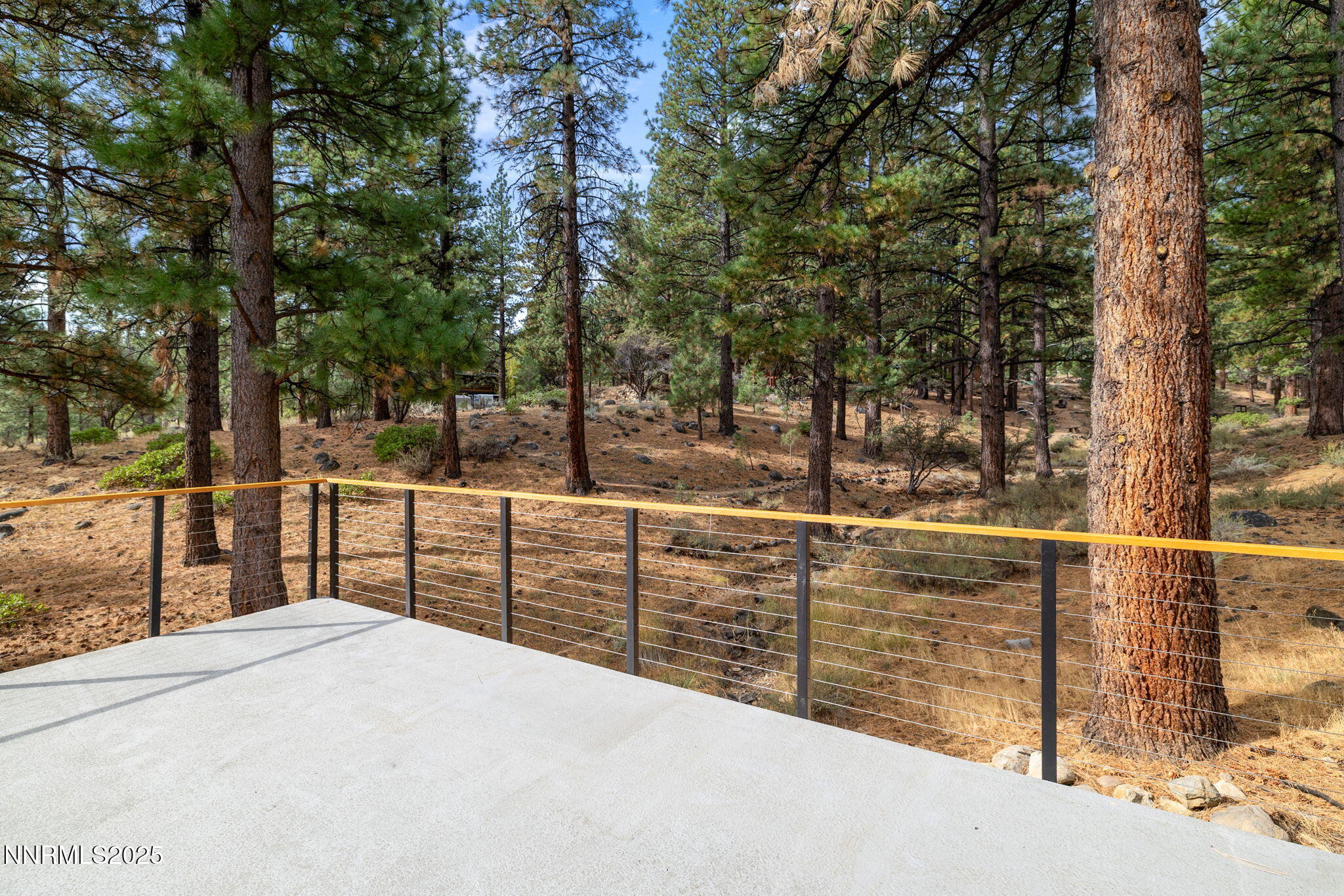 16435 Snow Flower Drive Reno, NV 89511 - Photo 39 of 48 a view of a backyard