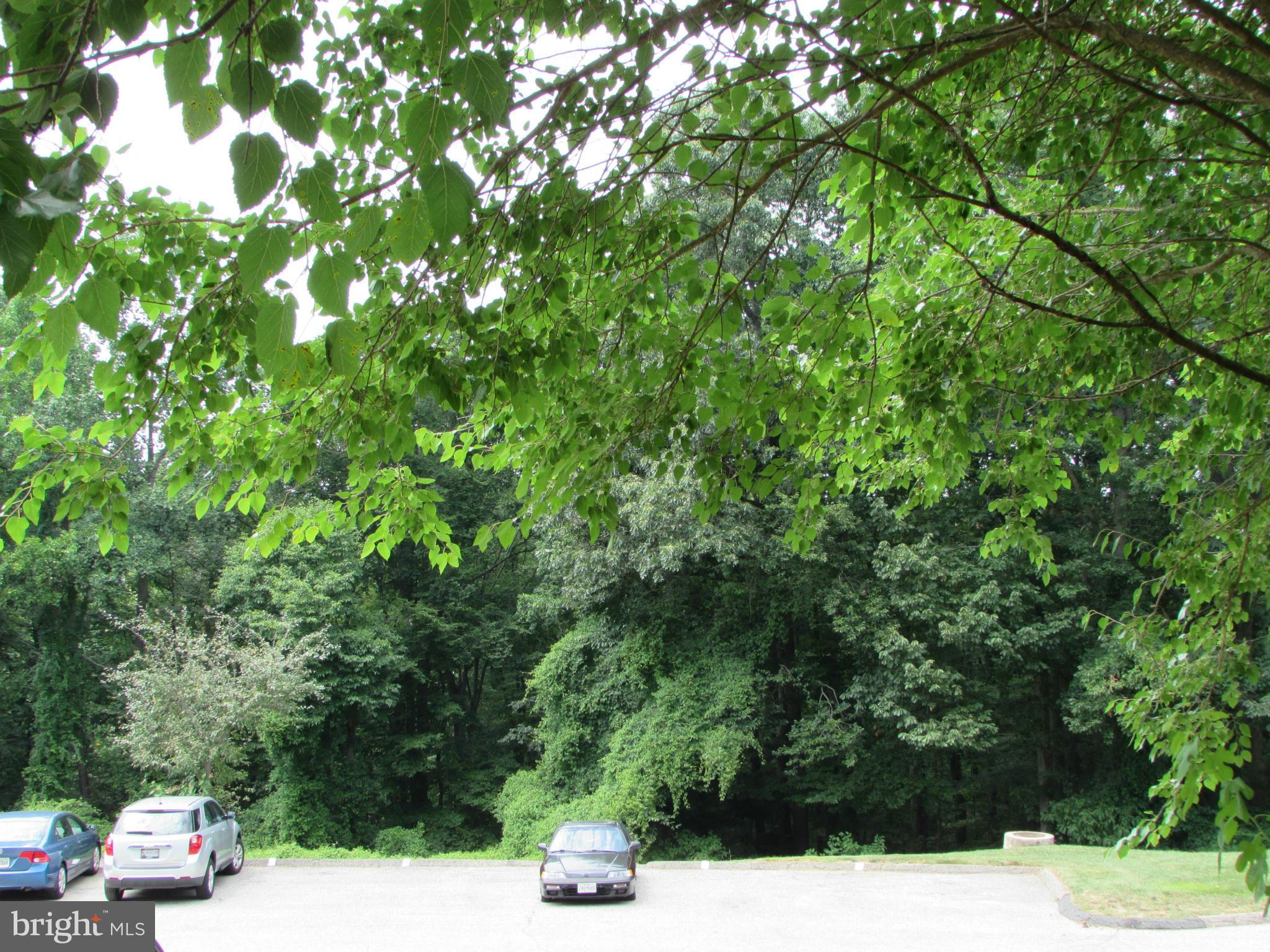 9353 Pan Ridge Road Baltimore, MD 21234 - Photo 3 of 23 View from Kitchen window