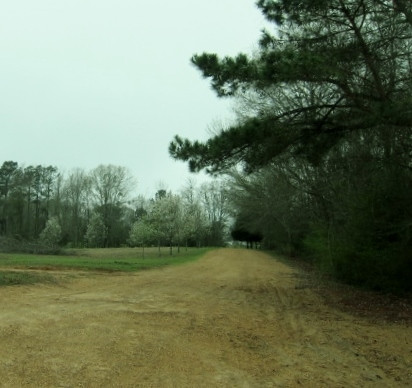 2880 Haley Road Terry, MS 39170 - Photo 2 of 43 Photo 2