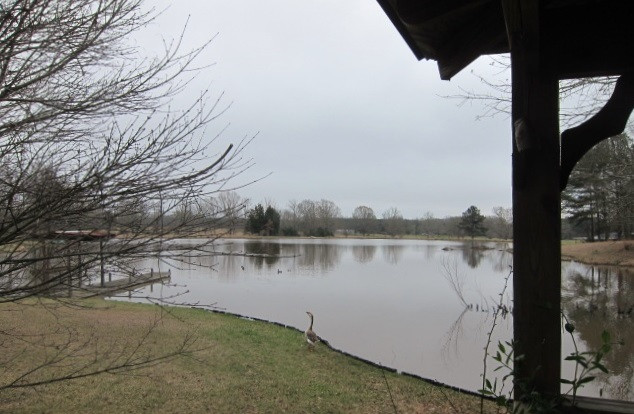 2880 Haley Road Terry, MS 39170 - Photo 29 of 43 Photo 29