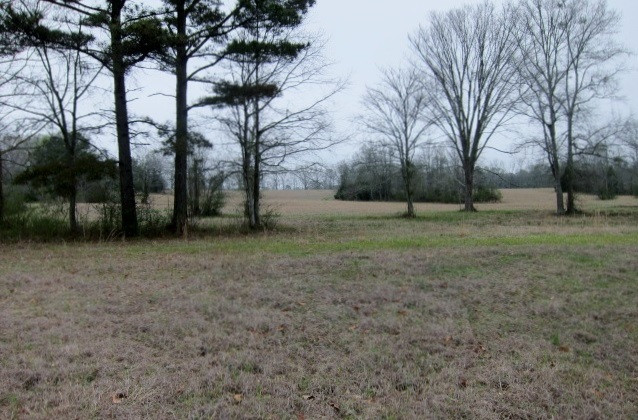 2880 Haley Road Terry, MS 39170 - Photo 37 of 43 Photo 38