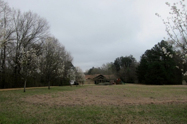 2880 Haley Road Terry, MS 39170 - Photo 42 of 43 Photo 43