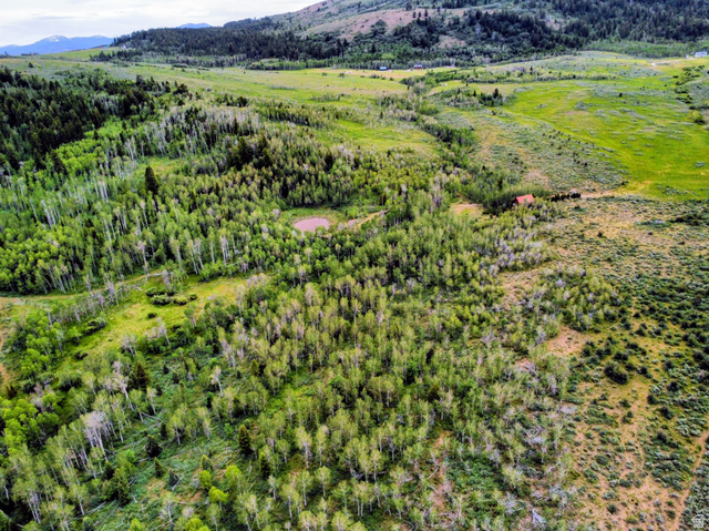 976 Outback Road Montpelier, ID 83254 - Photo 13 of 26