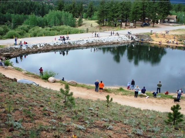 98 Wilkins Road Bailey, CO 80421 - Photo 2 of 3 a view of a lake with boats and trees in the background